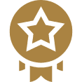 Gold medal with a star on it against a white background
