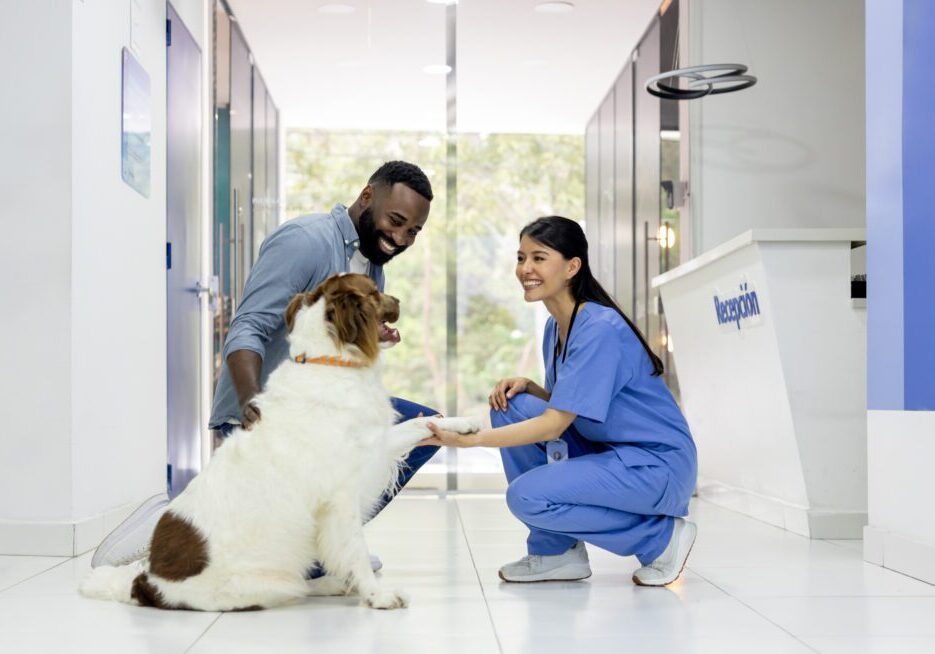 Man and woman petting a dog in a hospital hallway